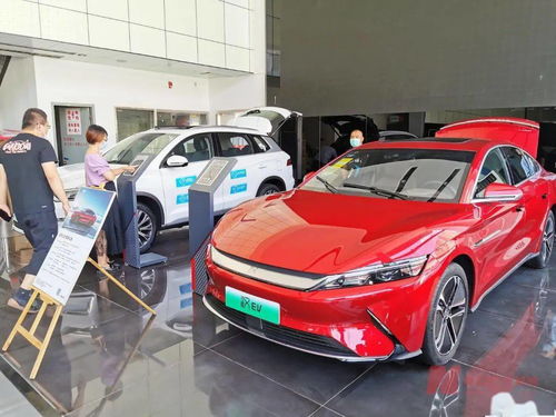 新能源車補(bǔ)貼退坡調(diào)查 市場(chǎng)終端火爆，車企策略分化，今年銷量劍指600萬(wàn)輛