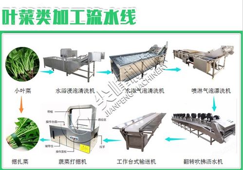 現代食品與木材加工 根莖類鮮切凈菜與木竹材加工機械的發展與應用