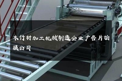 智造未來，共筑綠色家園——專業木竹材加工機械制造企業廣告片拍攝服務